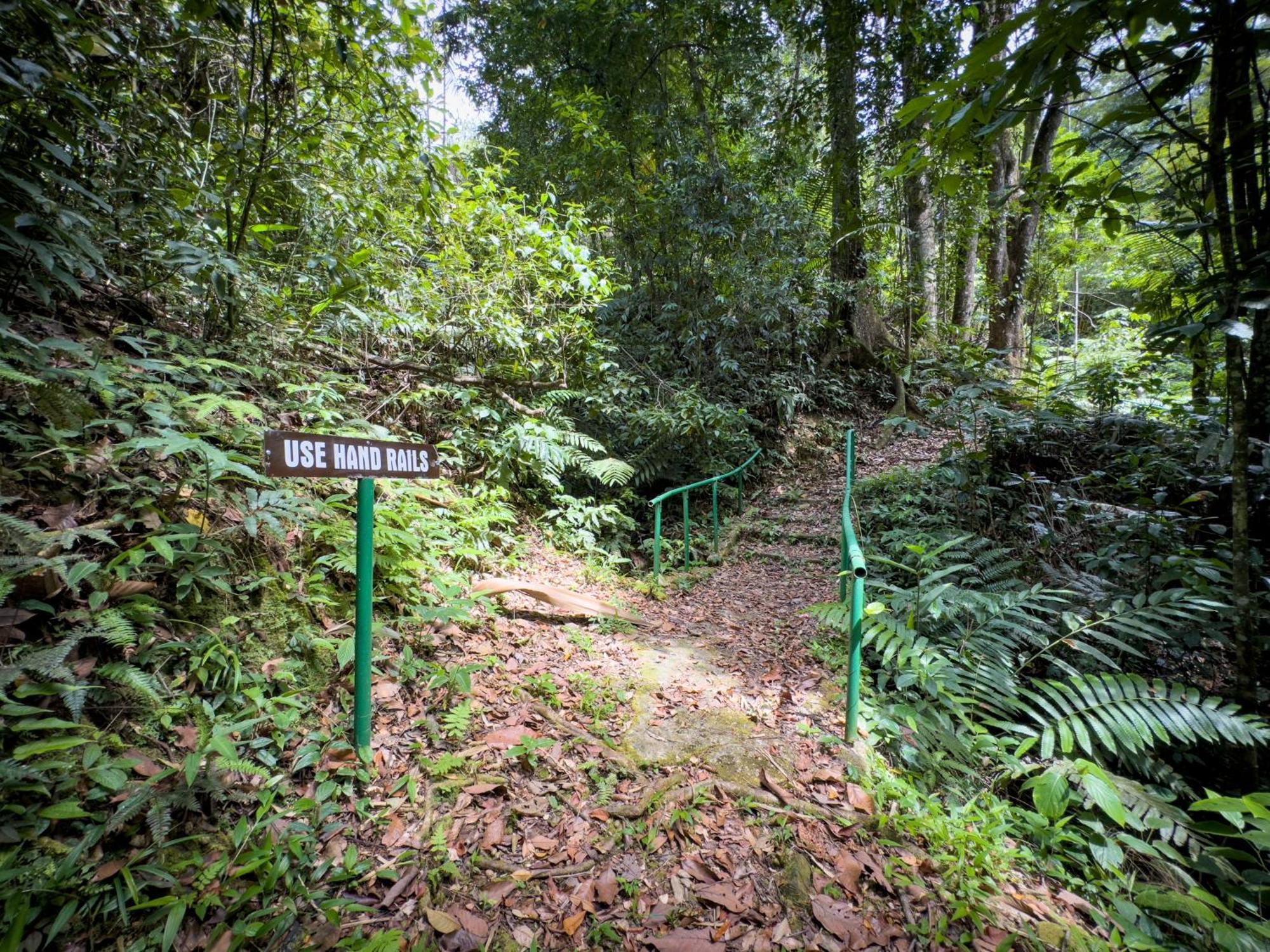 Hadco Experiences At Asa Wright Nature Centre Blanchisseuse Esterno foto