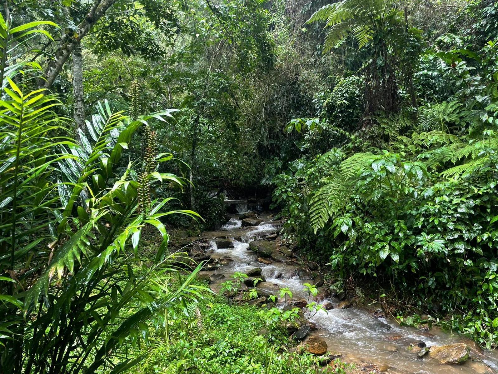 Hadco Experiences At Asa Wright Nature Centre Blanchisseuse Esterno foto