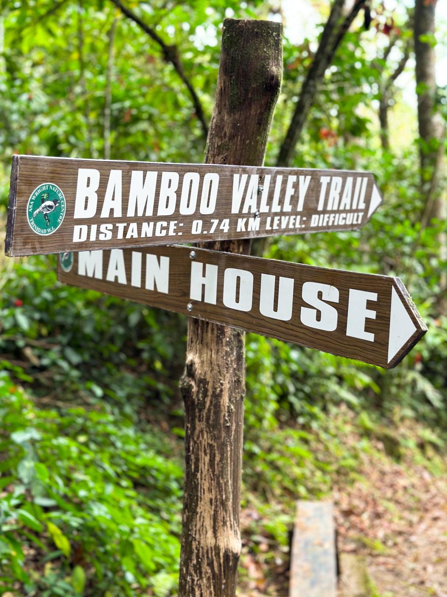 Hadco Experiences At Asa Wright Nature Centre Blanchisseuse Esterno foto