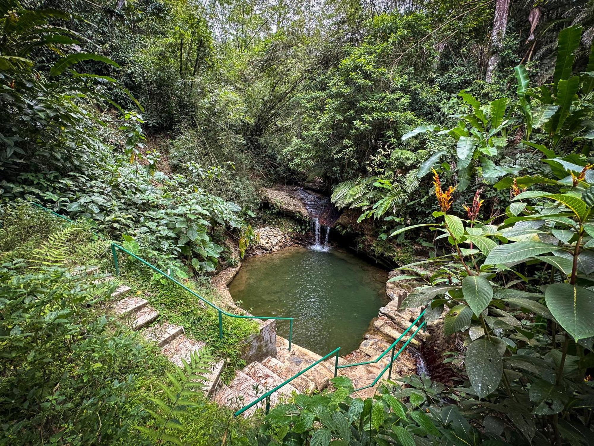 Hadco Experiences At Asa Wright Nature Centre Blanchisseuse Esterno foto
